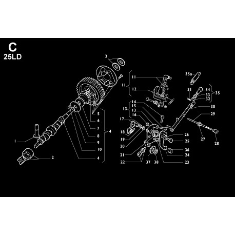 25LD 330-2 - ALBERO A CAMME/REGOLATORE DI GIRI/LEVE COMANDO REGOLATORE (C)