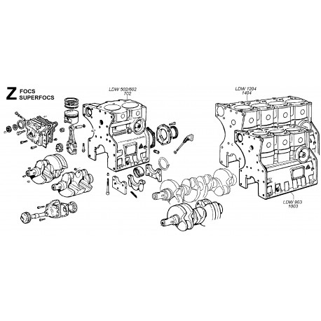 LDW 1404 - BLOCCO MOTORE (Z)