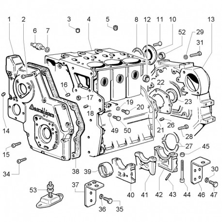 CAMPANA PIEDI MOTORE