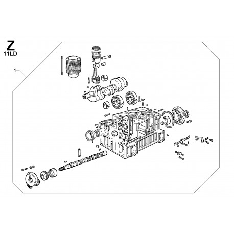11LD 625-3 - BLOCCO MOTORE (Z)