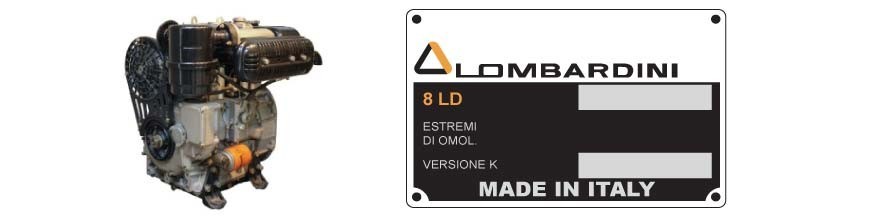 Ricambi Lombardini 8LD